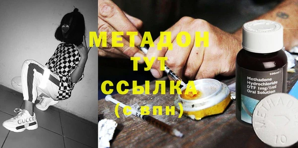прущие грибы Нея