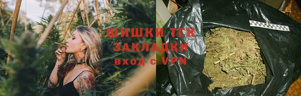 прущие грибы Нея