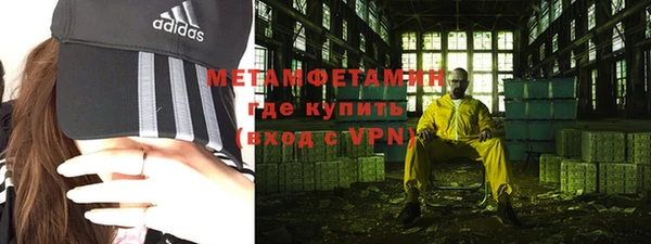 прущие грибы Нея