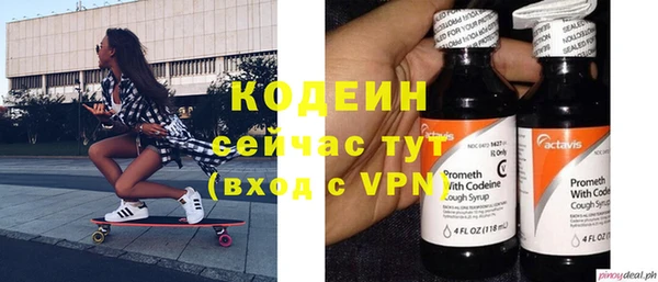 прущие грибы Нея