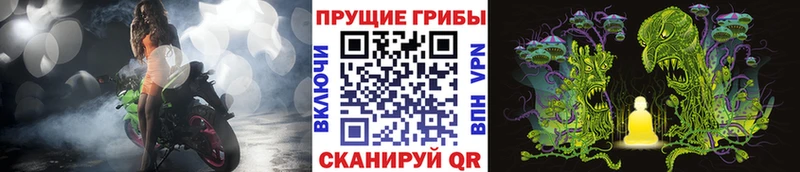 как найти наркотики  Южно-Сухокумск  Галлюциногенные грибы прущие грибы 